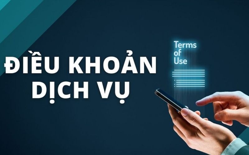 Các điểm cốt lõi trong điều khoản & điều kiện